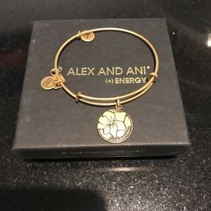 Alex and ani godmother charm bracelet